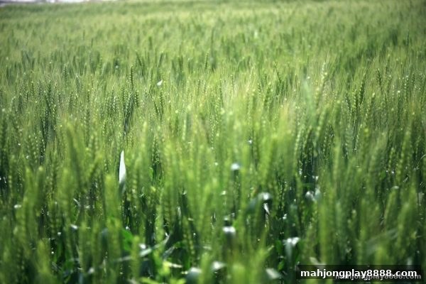 麻将胡了试玩攻略：捕鱼游戏注册优惠的全方位解读与实战技巧