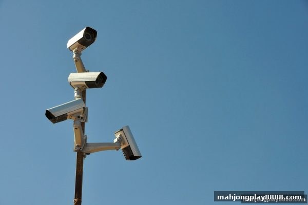 麻将胡了试玩：以太坊生态中个人信息安全与套利策略的实战指南