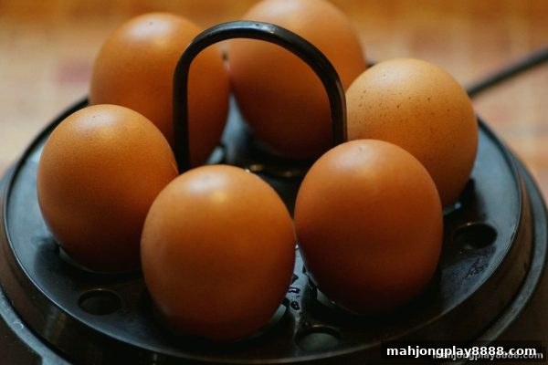 麻将胡了试玩视角：足球直播数据概率分析新方法